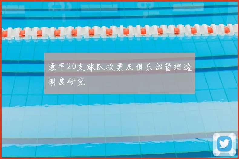 意甲20支球队投票及俱乐部管理透明度研究